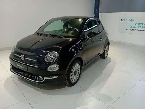 Used FIAT 500 Hybrid 2023 Ad 