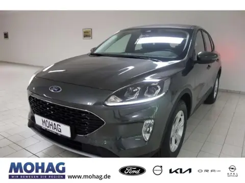 Used FORD KUGA Petrol 2023 Ad 