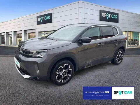 Used CITROEN C5 AIRCROSS Petrol 2024 Ad 