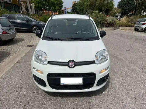 Used FIAT PANDA Diesel 2017 Ad 