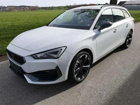 Used CUPRA LEON Petrol 2024 Ad 