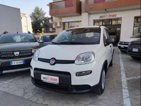 Used FIAT PANDA Hybrid 2024 Ad 