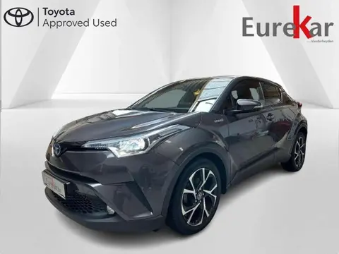 Used TOYOTA C-HR Hybrid 2019 Ad 