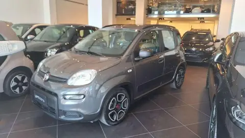 Annonce FIAT PANDA Hybride 2022 d'occasion 