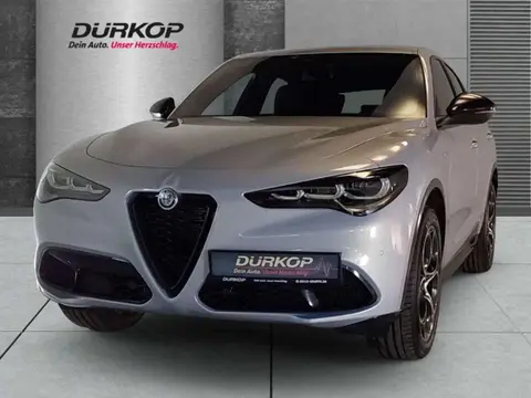 Annonce ALFA ROMEO STELVIO Essence 2024 d'occasion 