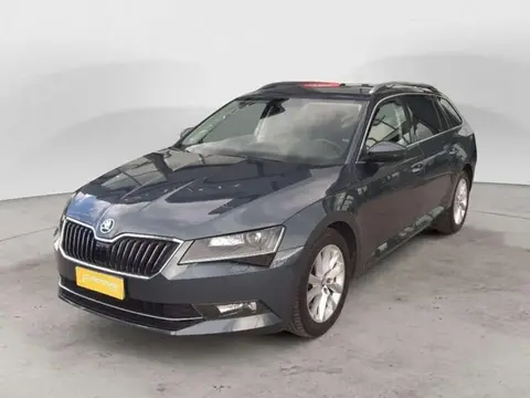 Annonce SKODA SUPERB Diesel 2019 d'occasion 