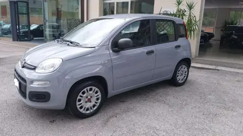 Annonce FIAT PANDA GPL 2021 d'occasion 