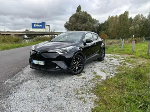 Used TOYOTA C-HR Petrol 2021 Ad 