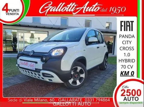 Used FIAT PANDA Hybrid 2023 Ad 