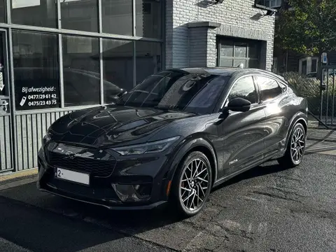 Annonce FORD MUSTANG Électrique 2022 d'occasion 