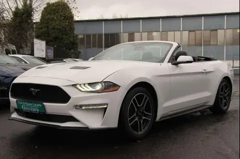 Used FORD MUSTANG Petrol 2020 Ad 