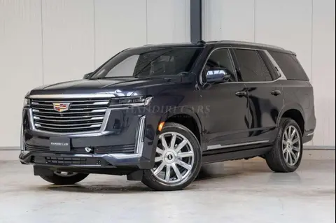 Annonce CADILLAC ESCALADE Essence 2024 d'occasion 