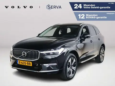 Used VOLVO XC60 Hybrid 2023 Ad 