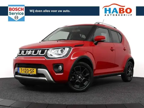 Annonce SUZUKI IGNIS Hybride 2022 d'occasion 