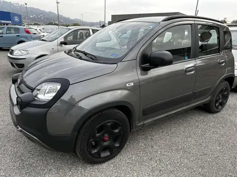 Used FIAT PANDA Hybrid 2023 Ad 