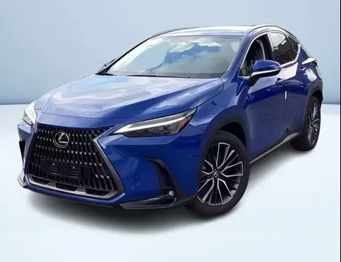 Annonce LEXUS NX Hybride 2024 d'occasion 