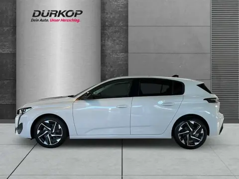 Annonce PEUGEOT 308 Essence 2024 d'occasion 