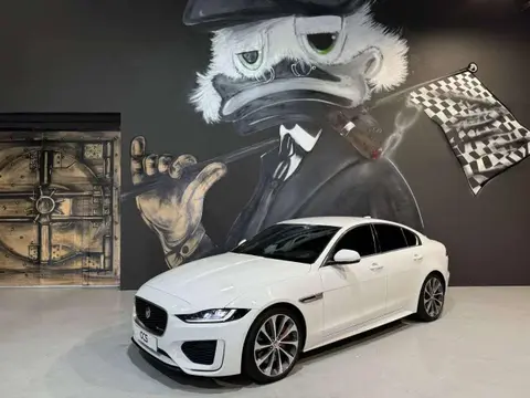 Used JAGUAR XE Diesel 2019 Ad 