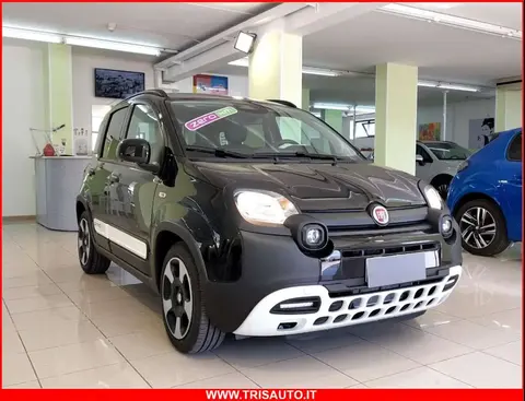 Annonce FIAT PANDA Hybride 2024 d'occasion 