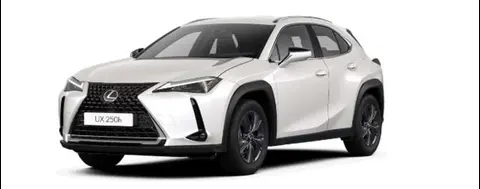 Annonce LEXUS UX Hybride 2023 d'occasion 