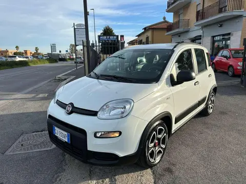 Used FIAT PANDA Hybrid 2022 Ad 