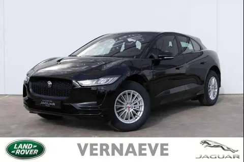 Used JAGUAR I-PACE Electric 2023 Ad 