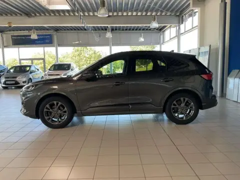 Annonce FORD KUGA Essence 2020 d'occasion 