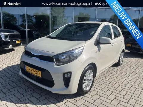 Used KIA PICANTO Petrol 2023 Ad 