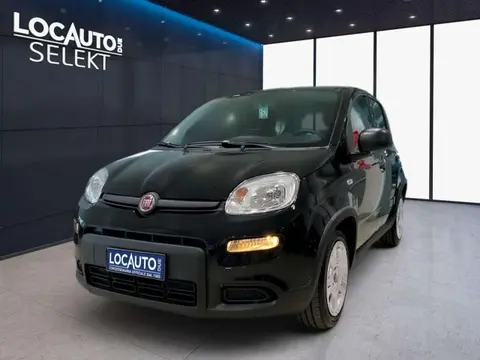 Annonce FIAT PANDA Essence 2024 d'occasion 