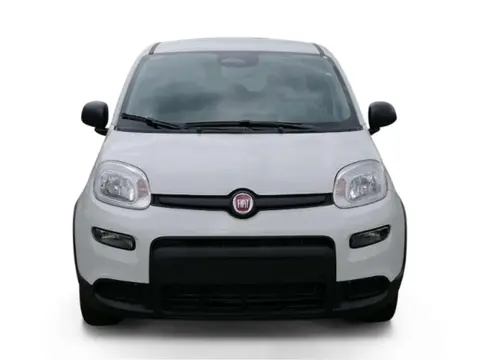 Used FIAT PANDA Petrol 2024 Ad 