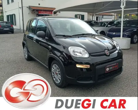 Used FIAT PANDA Hybrid 2024 Ad 