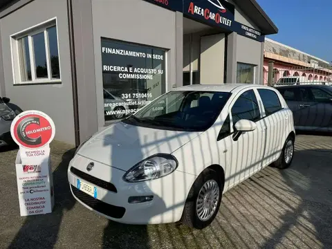 Annonce FIAT PUNTO Essence 2017 d'occasion 