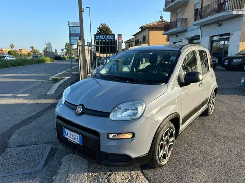 Annonce FIAT PANDA Hybride 2022 d'occasion 