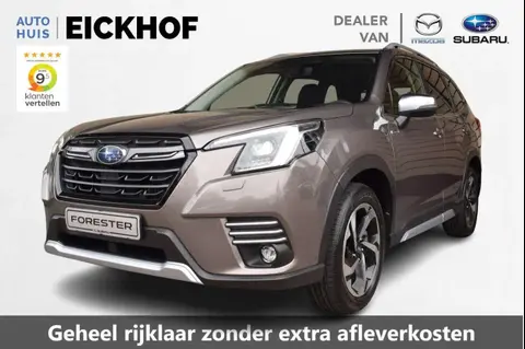 Annonce SUBARU FORESTER Hybride 2023 d'occasion 