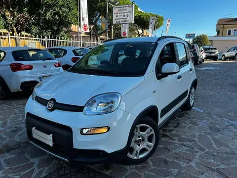 Used FIAT PANDA Hybrid 2023 Ad 