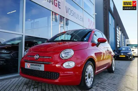 Annonce FIAT 500 Essence 2020 d'occasion 