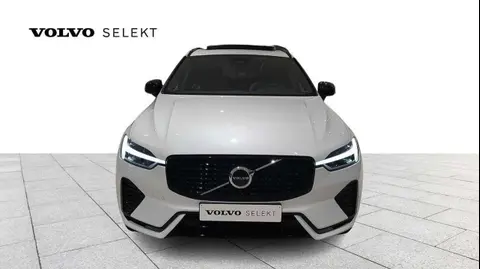 Used VOLVO XC60 Hybrid 2021 Ad Belgium