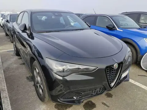 Used ALFA ROMEO STELVIO Diesel 2023 Ad 