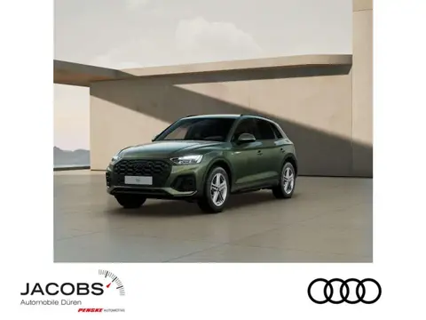 Used AUDI Q5 Diesel 2024 Ad 