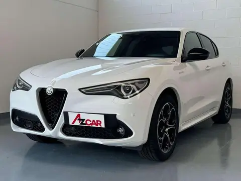 Used ALFA ROMEO STELVIO Diesel 2023 Ad 