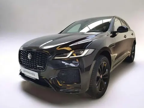 Annonce JAGUAR F-PACE Hybride 2023 d'occasion 