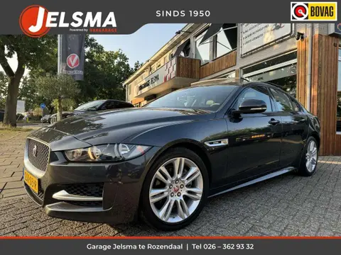 Annonce JAGUAR XE Diesel 2017 d'occasion 