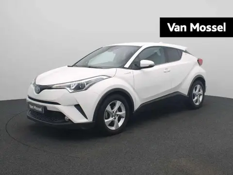 Used TOYOTA C-HR Hybrid 2019 Ad 