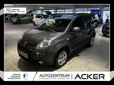 Used FIAT PANDA Petrol 2024 Ad 