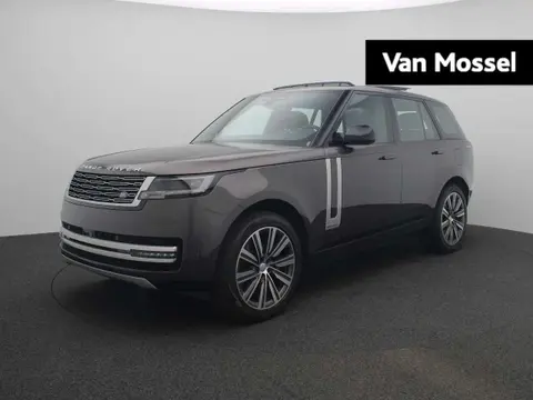 Used LAND ROVER RANGE ROVER Hybrid 2024 Ad 