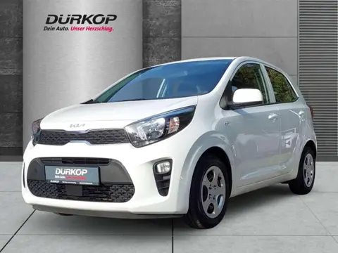 Annonce KIA PICANTO Essence 2021 d'occasion 