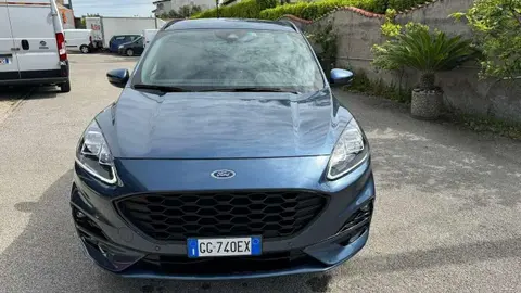 Used FORD KUGA Diesel 2021 Ad 