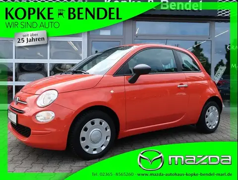 Used FIAT 500 Petrol 2021 Ad 