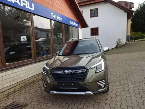 Annonce SUBARU FORESTER Hybride 2024 d'occasion 