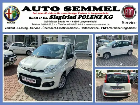 Used FIAT PANDA Petrol 2017 Ad 